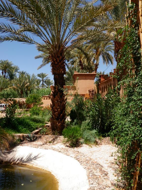 أكدز Ecolodge Bab El Oued Maroc Oasis المظهر الخارجي الصورة