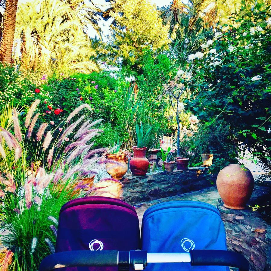 أكدز Ecolodge Bab El Oued Maroc Oasis المظهر الخارجي الصورة